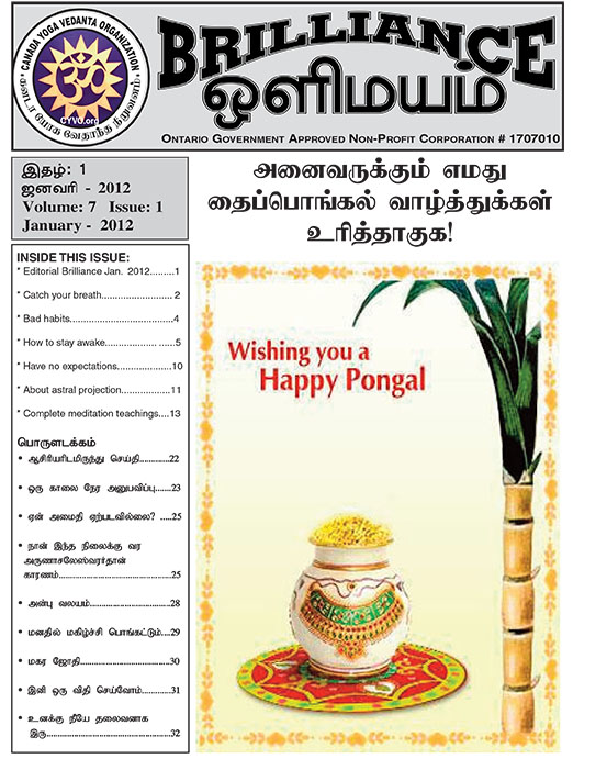 Brilliance Magazine January 2012