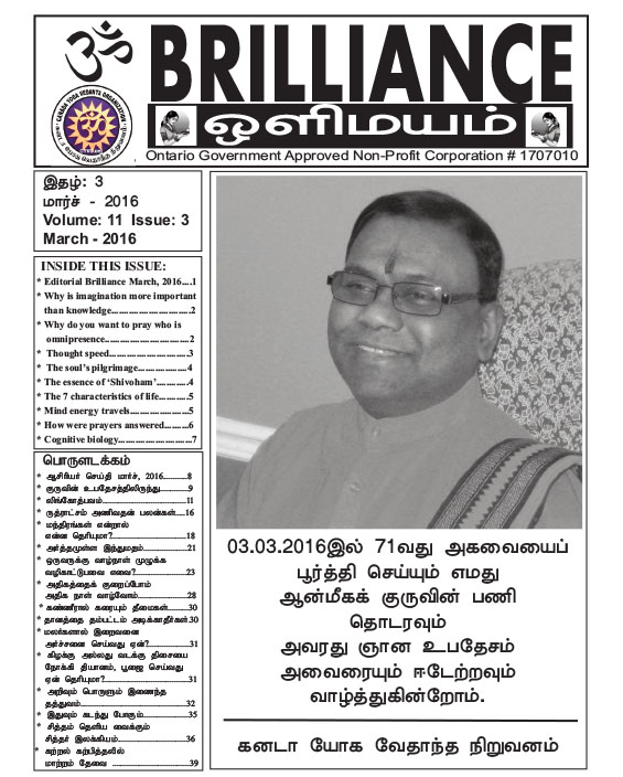 Brilliance Magazine March 2016